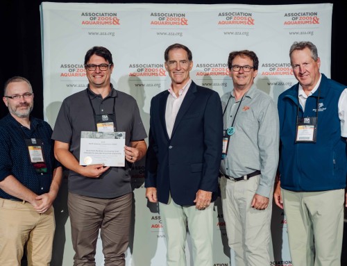 Award for Minnesota Zoo is Major Win for Endangered Butterflies