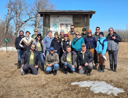 Saving Butterflies from Midwest to Manitoba – and Beyond